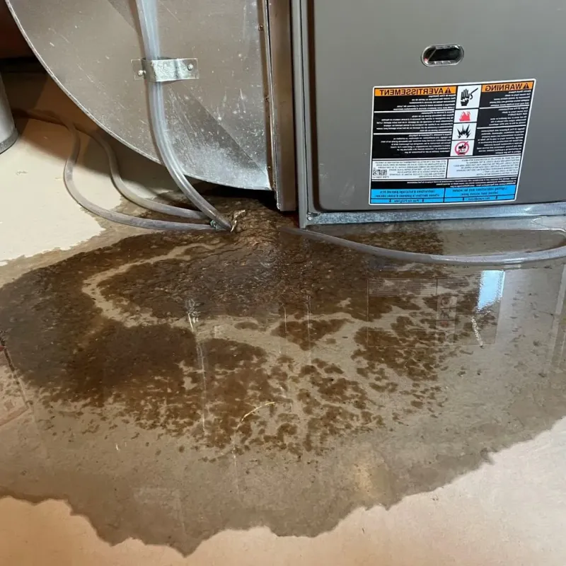 Pipe Burst and Leak Restoration in Wagoner County, OK